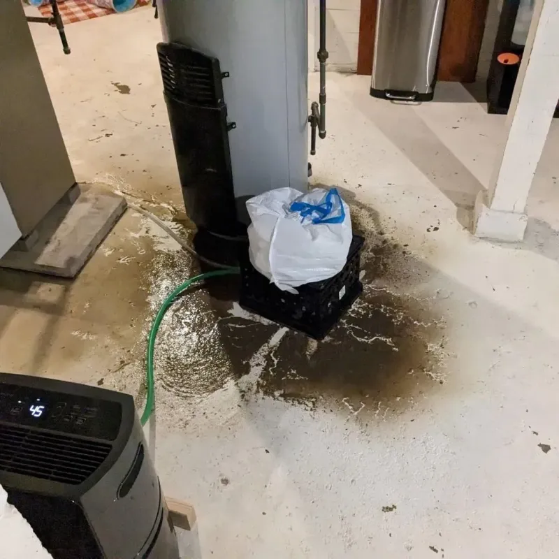 Sewage Backup Cleanup Service in Natchez, MS
